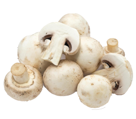 mushrooms